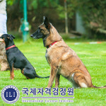 펫시터 관심자 위한 반려동물관리사 자격증 수강료 전액지원 이벤트