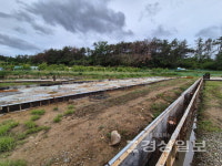 울산 북구 상안동에 축사 건립 갈등…조례 세분화 필요