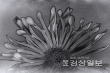 디지털 시대에 아날로그 사진의 가치를 보다