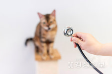 울산 반려동물 건강문화센터 조성 지연