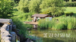 [사진이야기]태화강국가정원의 녹색 세탁