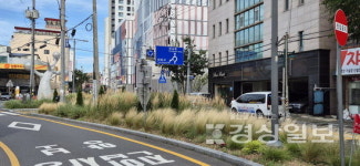도심속 버려진 공간이 사계절 정원으로 변신