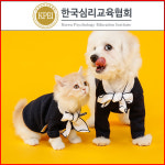 펫시터·애견카페 관심자에 반려동물관리사 자격증 강의 무료수강 이벤트 진행