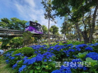 아름다운 장생포의 낮과 밤을 한눈에