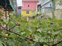 폐원후 슬럼화 일산어린이집 활용방안 시급