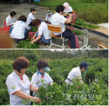 이비티에스협동조합 울산 남부지점, 경주시 천복면 신당리에서  고추수확 농촌일손돕기 봉사활동 펼쳐