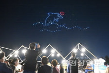 2024 태화강 빛 축제...태화강의 가을밤, 빛으로 물들었다