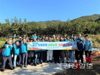 울주군 단감농장 일손돕기 봉사