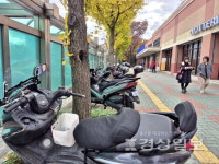 울산 관문 시외버스터미널 앞 너저분