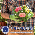 캘리그라피·플로리스트 자격증 외 130여종 무료교육 과정 운영