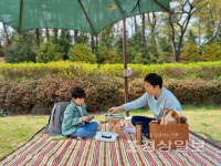 [울산지역 도서관 소식]책 소풍 꾸러미 무료 대여, 남부도서관 오는 11월까지