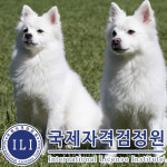 애견인 위한 펫시터·반려동물관리사 자격증 무료강의 이벤트