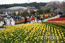 [지금울산]울산대공원 튤립축제, 봄 나들이객들로 북적