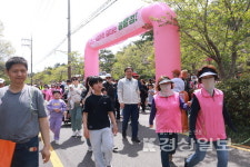 다양한 체험·자선행사 남목벚꽃축제 북적
