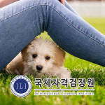 펫시터 취업 관심자 위한 반려동물관리사 자격증 무료교육