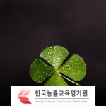 무료수강 사주풀이, 명리심리상담사 자격증 전문가 및 지도사 교육 제공