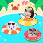 테디럽 대구점, 여름 핫썸머 조건 없는 무료분양 이벤트 진행