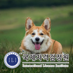 펫시터·펫푸드 관련 반려동물관리사 자격증 무료강의