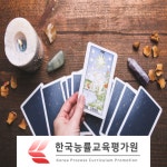 타로카드배우기 관심자에게 타로마스터 무료수강 및 심리상담사 교육 제공