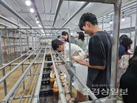 울산동구가족센터, 자연 속에서 배우고 즐기는 여름방학 체험학습