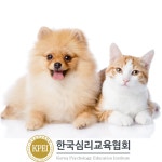 온라인 무료 수강 이벤트, 강아지가 핥는 이유 고양이의 날을 위한 반려동물관리사 자격증