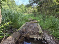 환경련-낙동강청, 정족산 무제치늪 관리 놓고 대립