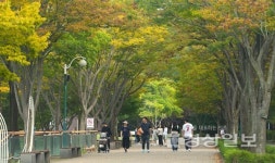 추석 연휴 끝, 울산대공원에 가을 물결…시민들 단풍길 산책하며 정취 만끽