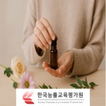 알로카시아, 플로리스트 관심자 무료수강 지도사 및 전문가 자격증 과정 교육 제공