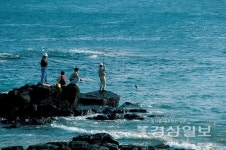 일출시즌 목숨 건 갯바위 새벽출사 기승