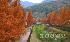 무르익는 가을 정취