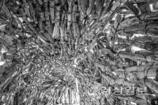 울림과 사유의 확장…찰나를 넘어 빛의 예술