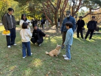화면 속 자연스러운 동물 연기의 비밀 펫포커스, 국가 공인 동물행동지도사 참여