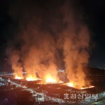 울산 명촌교 갈대밭서 불…1시간 만에 완진