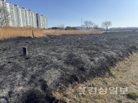 북구12경 명촌억새군락지 하룻밤새 잿더미(종합)