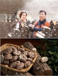 경성표고버섯, 푸드위크 코리아(FOODWEEK KOREA)에서 참나무 표고버섯 및 표고버슷 스낵 등의 제품 선보여