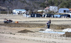 봄맞이 농사준비 한창