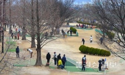 울산 동천강변 파크골프장, 삼일절 연휴 즐기는 시민들로 북적