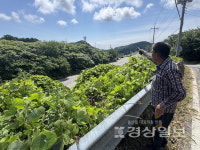 산업로로 두동강 황토전마을 교량 설치 집단행동 예고