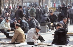 한국 노인 상대빈곤율 OECD 꼴찌