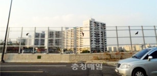 대전 계백로 투명방음벽에 버드세이버 설치