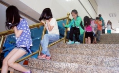 법(法) 배우는 곳인 줄만 알았는데 안전도 공부