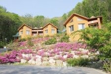 깨끗한 숲속에서 자연과 하나된다