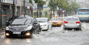 서산시청 앞 도로 물반 車반