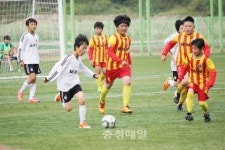 단양군 우승·충주시 준우승
