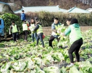 청주 용암2동, 자매결연마을 일손돕기