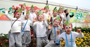 논산딸기축제 알차게 즐기는 꿀팁