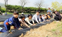 충주 용원초, 텃밭 가꾸기