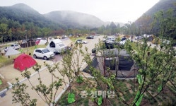 동구 상소동 오토캠핑장, 캠핑족 메카로 급부상