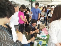 토마토 탑과채단지 토양관리 기술 공유