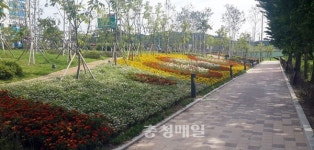 증평군, 국화 꽃 동산 조성 가을 정취 물씬